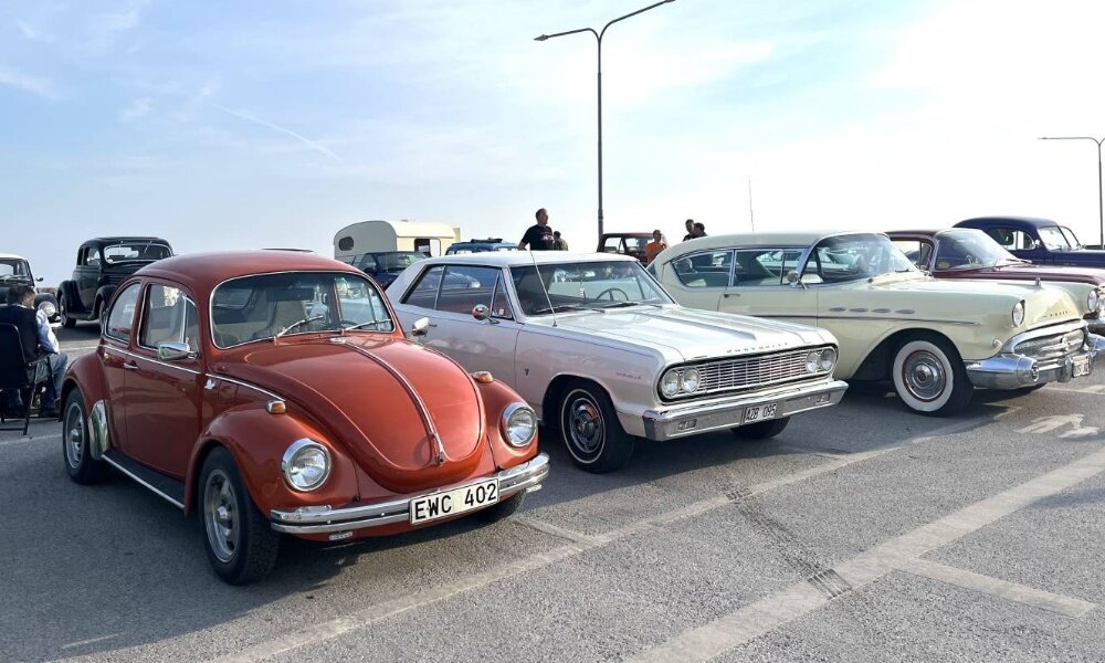 Gotland 003
